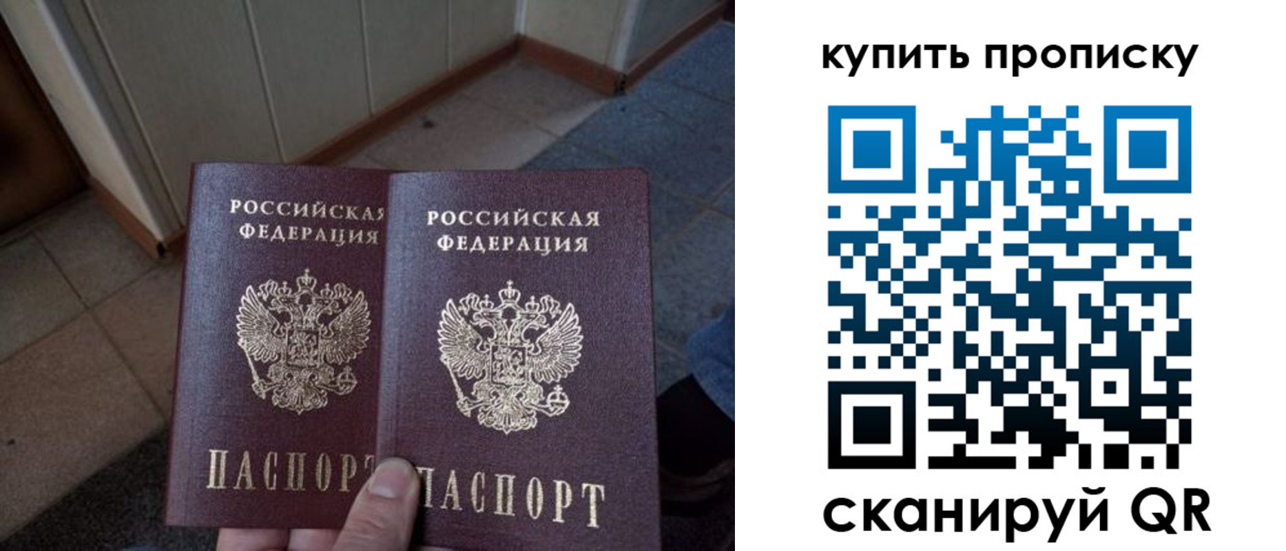 регистрация для школы в Луге