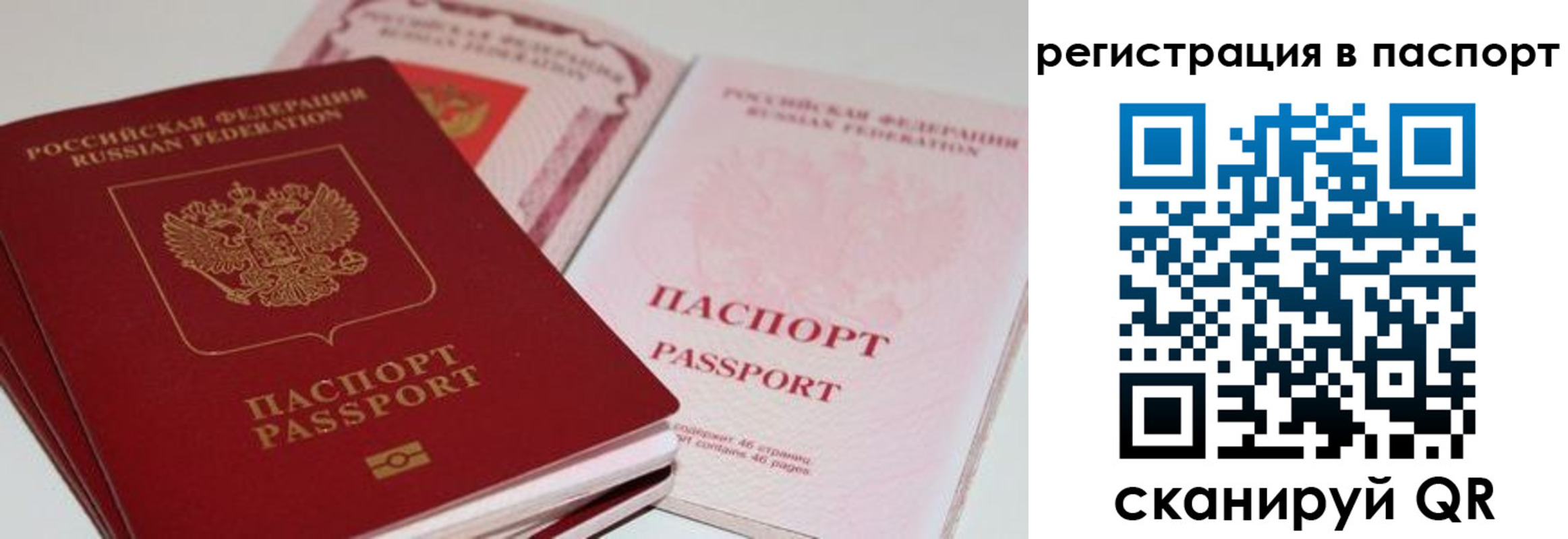 временная регистрация недорого в Луге